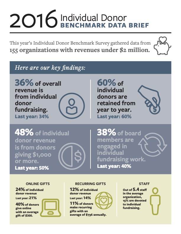 2016 Individual Donor Benchmark Report Cover